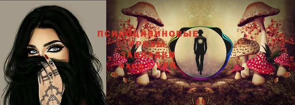 mix Абинск