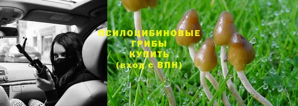 спиды Абдулино